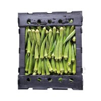 Bhindi / Okra 500g